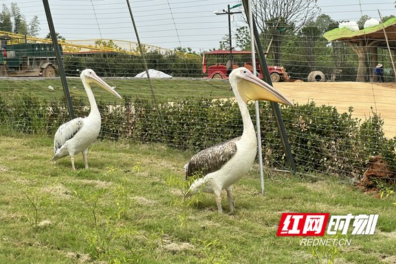 微信图片_20250901213123.marked.jpg