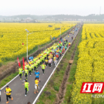 唐铎故里花正浓 2026年赫山区岳家桥镇油菜花集暨健康跑活力开跑