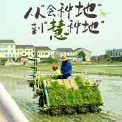 海报|赫山春耕季 把希望“播”在春风里