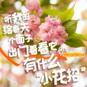 海报 | 花开银城，“益” 起赏花！