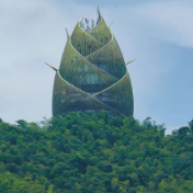 桃江首届“莫应丰杯”征文比赛邀你共书时代华章