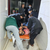 危急时刻显担当！退役军人汪磊深夜援手救下邻里一命