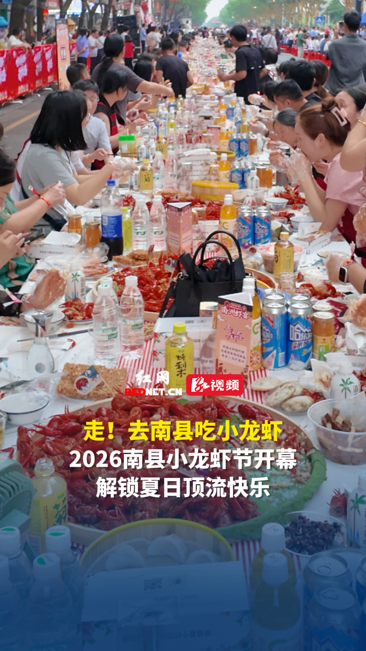 南县小龙虾节万斤小龙虾敞开吃