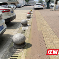 赫山桃花仑街道物管凝心聚力 助力小区治理