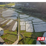 秋瞰怀化 | 大地披“银被” 来年盼丰收