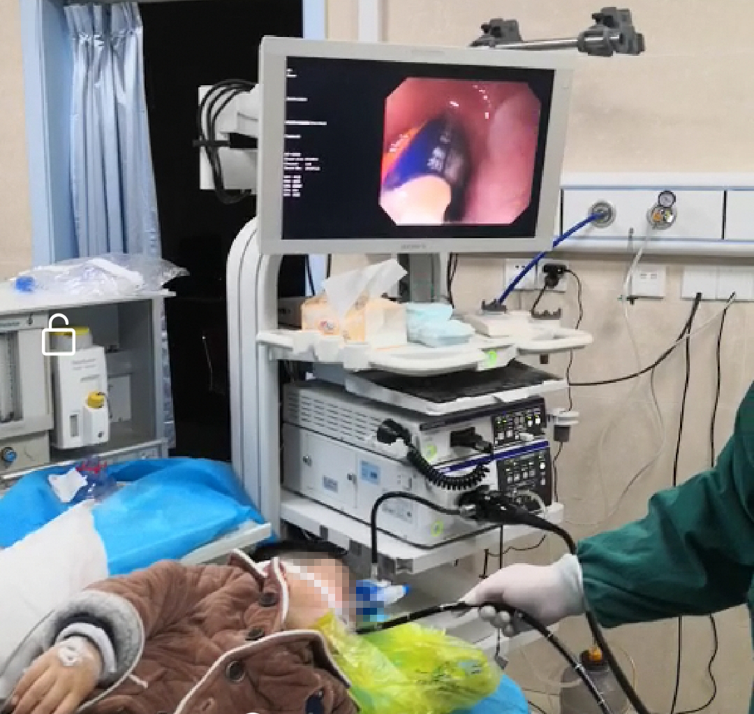 图片1.png 图片1.png