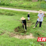 资阳：沙头镇高标准开挖浸沟247条