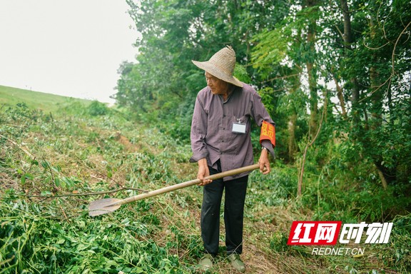 张家塞乡金山村的巡逻队员正在清除杂草