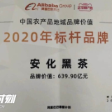 视频丨2020年标杆品牌！安化黑茶地域品牌价值评估高达639.9亿元