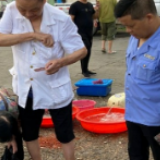 桃江：养殖鱼虾冒充野生鱼虾售卖 想多获利反被罚！