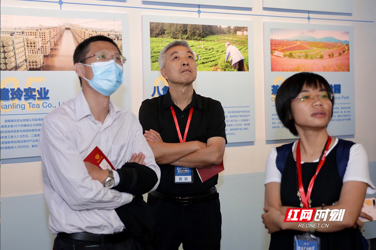 各媒体老师参观安化黑茶国家现代农业园展示馆。