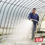 多图 | 赫山：农业高质量发展道路上 新农民在领跑