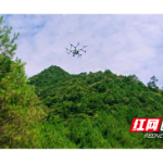 安化：松材线虫病歼灭战春节不“打烊”
