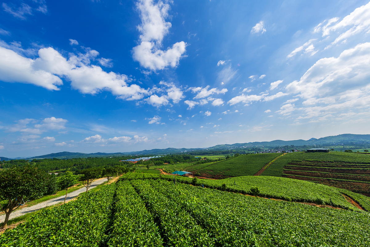 微信图片_20211215111435_副本.jpg 微信图片_20211215111435_副本.jpg