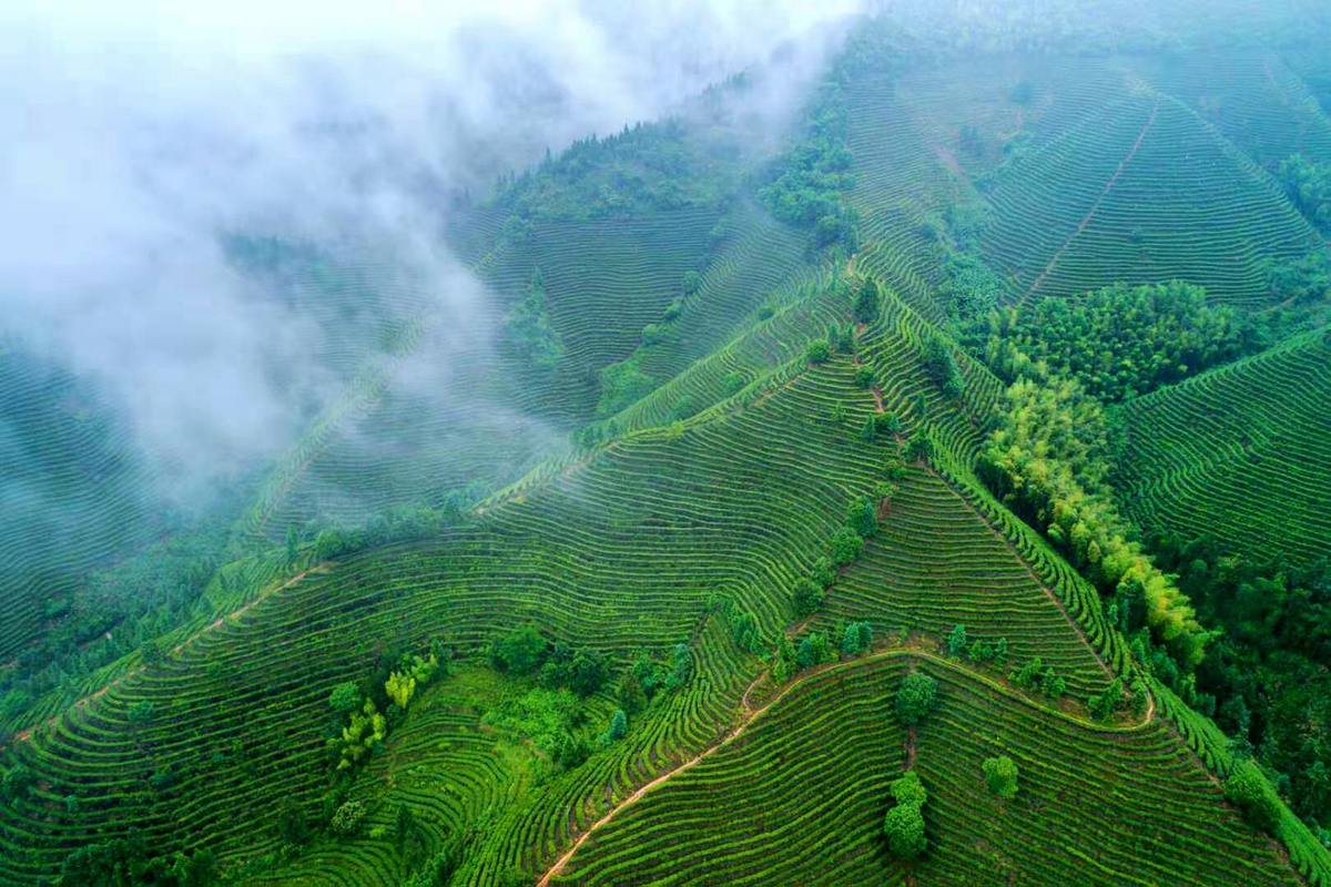 微信图片_20211215111448_副本.jpg 微信图片_20211215111448_副本.jpg