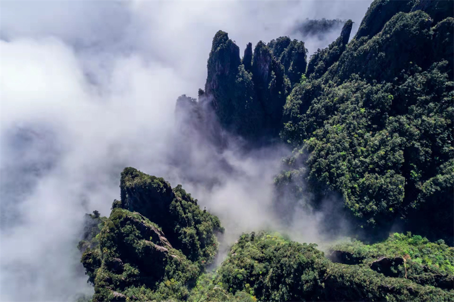 02e92b0122e4f2f254856592c7b3a54_副本.jpg 02e92b0122e4f2f254856592c7b3a54_副本.jpg