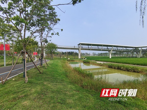 微信图片_20251001144416_13_405 (1).jpg