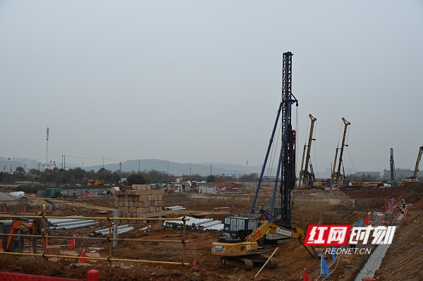 微信图片_20260129163814_51_828 (1).jpg