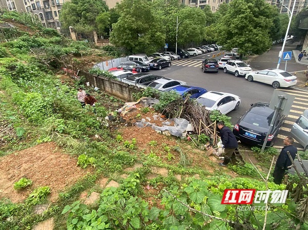 微信图片_20260305130737_25_1962 (1).jpg