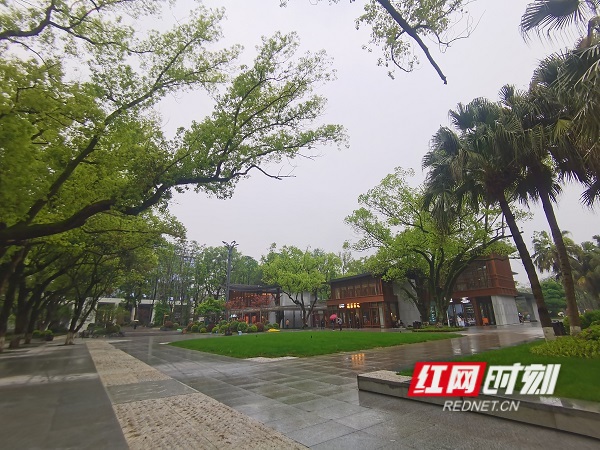 微信图片_20260413160950_12_2067 (1).jpg