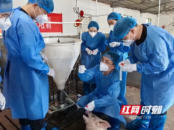 微信图片_20260402165124_50_2047 (1).jpg