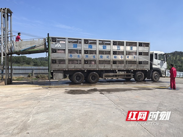 微信图片_20260402161351_40_2047 (1).jpg