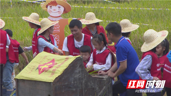 农商行 丰收节 (8).jpg 农商行 丰收节 (8).jpg