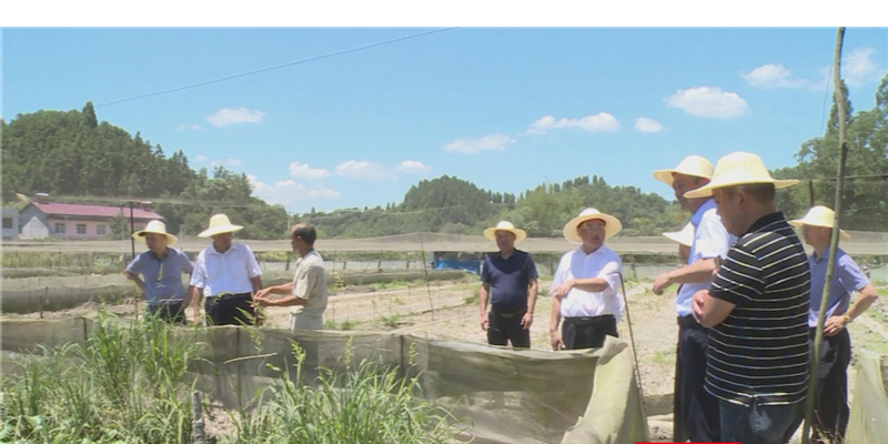 张家界市人大常委会调研组来慈调研野生动物保护工作