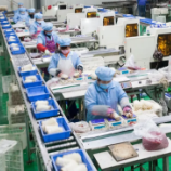 提升能力、落实政策、营造环境——支持科技型中小企业创新发展，科技部亮出硬招实招