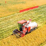 加快农业科技自主创新实践探索