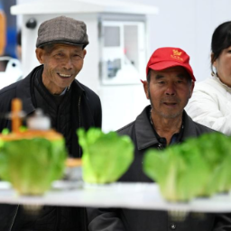 硬气的种子,智慧的农具!杨凌农高会照见农业未来