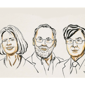 破解免疫系统的攻防密码 ——2025年诺贝尔生理学或医学奖解读