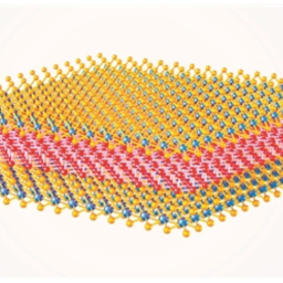 《物理世界》2025年度十大科学突破揭晓