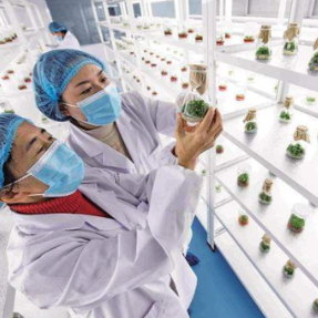 多管齐下实现产学研人才互通