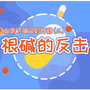 科普一下｜抗生素危机下的养殖突围②