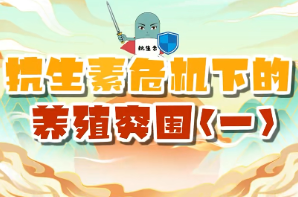 科普一下丨抗生素危机下的养殖突围①