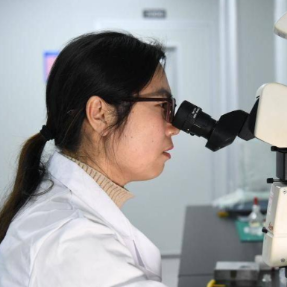 增长9.1%！上半年我国科学技术支出4790亿元