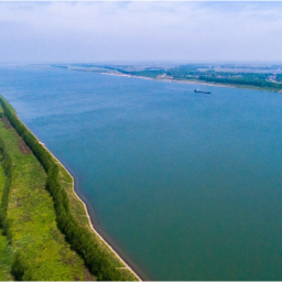 小小芯片探知长江生物“基因痕迹”