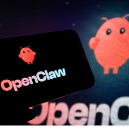 “龙虾热”背后的“冷思考”