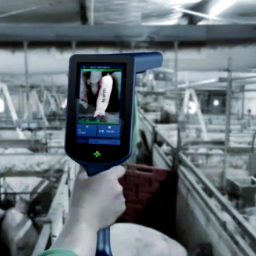 AI赋能生猪育种！印遇龙院士团队成功构建生猪智能育种新技术体系