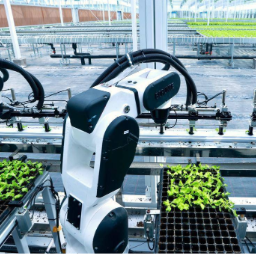 农业AI亟待跨越“最后一公里”