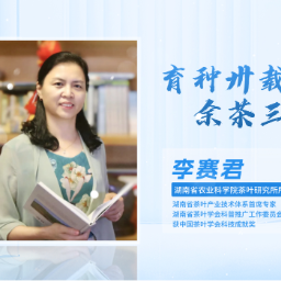 科普星光润潇湘丨李赛君:育种卅载,余茶三分