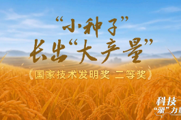 科技“湘”力量丨“小种子”长出“大产量”