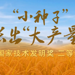 科技“湘”力量丨“小种子”长出“大产量”