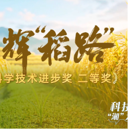 科技“湘”力量丨光辉“稻”路