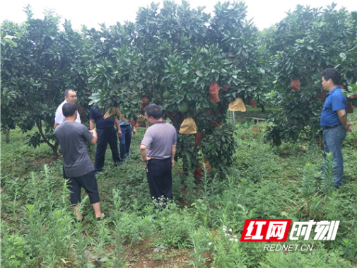 苏仙区自然资源局：创新理论学习方式  实地督战脱贫攻坚