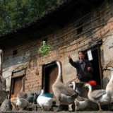 驱散黑暗 拥抱彩虹 ——贫困户侯茂光的答案