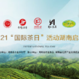 5.21国际茶日，去湖南“国际茶日”庆祝活动现场品红茶去！