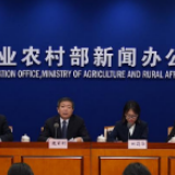 农业农村部:猪肉不会再出现价格大幅上涨情况 保障春节老百姓碗里不缺肉