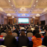 推动脱贫攻坚高质量收官，打好乡村振兴基础 